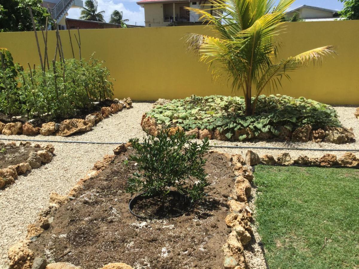 Cc Best Villas Tobago Lowlands Extérieur photo